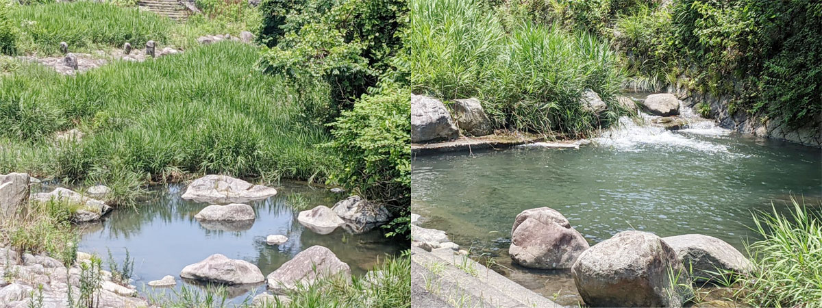 皿倉山大蔵川の風景
